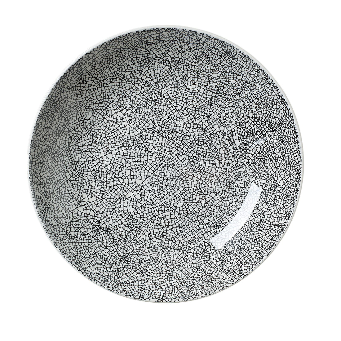 17600569.jpg